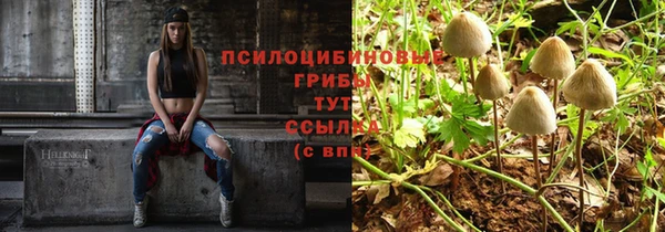 винт Баксан