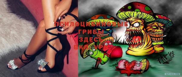 MESCALINE Арсеньев