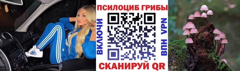 мега ссылка  Закаменск  Псилоцибиновые грибы мухоморы 
